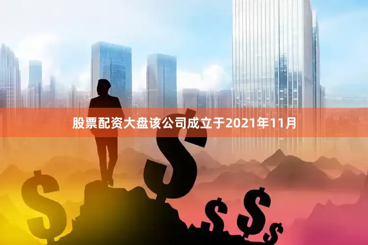 股票配资大盘该公司成立于2021年11月