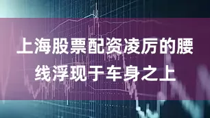 上海股票配资凌厉的腰线浮现于车身之上